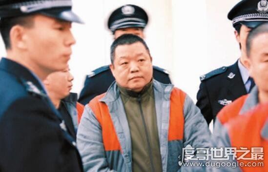 臧天朔为什么入狱，因多次聚众斗殴被判六年有期徒刑