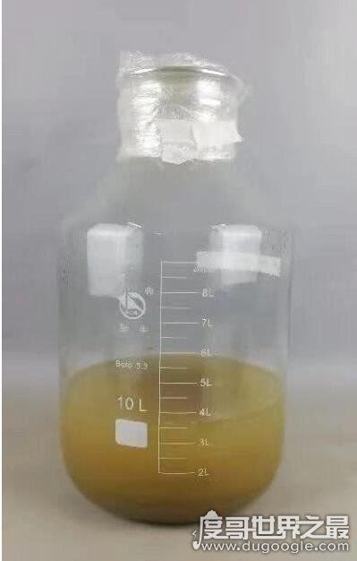 洛阳西汉古墓挖出仙药,古人们为了"长生不老"炼制而成