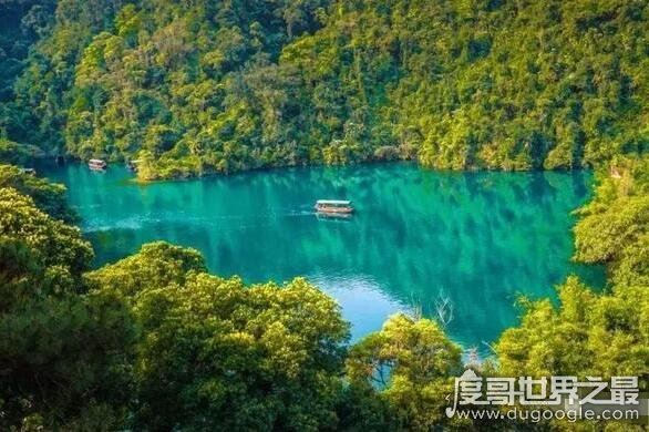 中国第一个自然保护区,鼎湖山国家级自然保护区(成立于1956年)