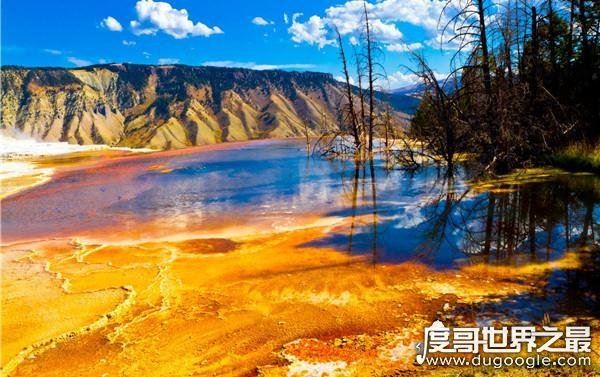 中国第一个自然保护区，鼎湖山国家级自然保护区(成立于1956年)