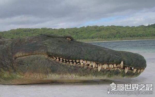 帝鳄vs恐鳄，哪个更恐怖（恐鳄杀伤力更强）