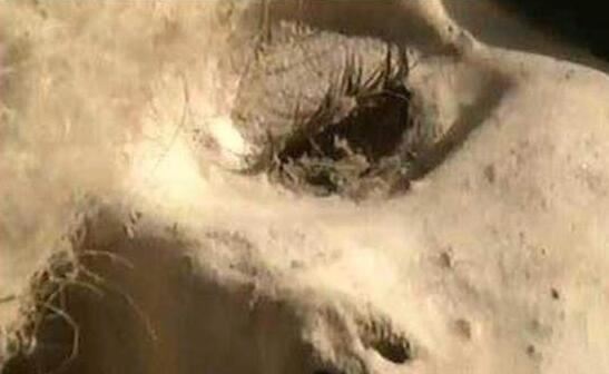 地铁楼兰女真实身份，揭秘楼兰古国消失原因