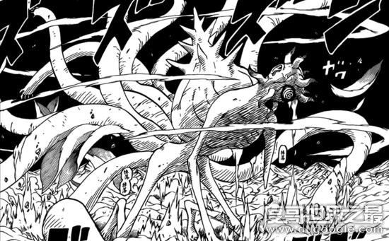 火影忍者十尾人柱力是谁，十尾真面目为神树