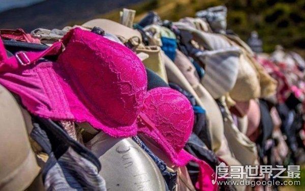 女性知识科普，罩杯abcd怎么分大小(发育期须知)