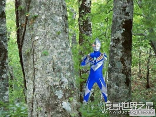13年很火的野生奥特曼，丛林惊现野生奥特曼(PS恶搞)
