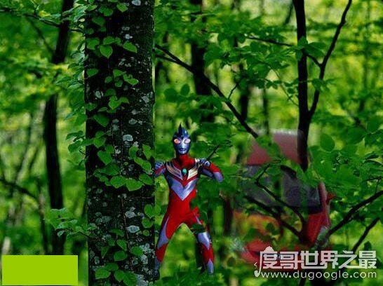 13年很火的野生奥特曼，丛林惊现野生奥特曼(PS恶搞)