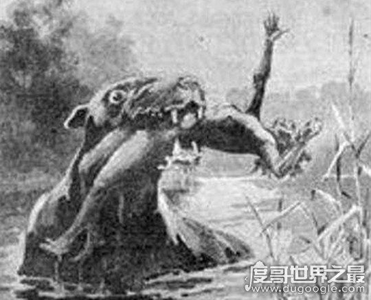 澳大利亚本耶普怪兽之谜,传说中食人兽(疑似远古生物双门齿兽)
