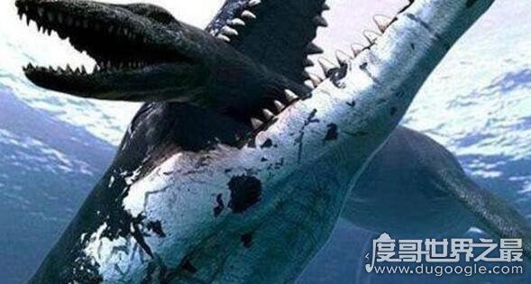 史前巨兽滑齿龙，体型巨大攻击力强还非常善于偷袭