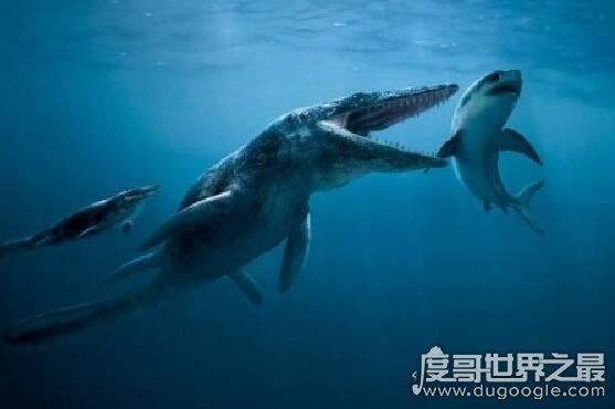 史前巨兽滑齿龙，体型巨大攻击力强还非常善于偷袭