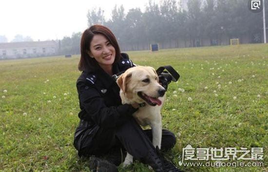 盘点侯梦莎演过的电视剧,剧中的“铁娘子”戏外是个随性女孩