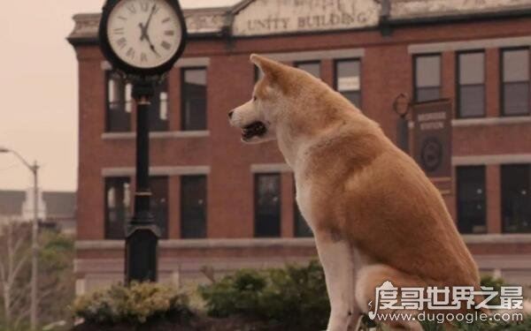 10部哭到崩溃的电影，每一部电影都让人感动落泪