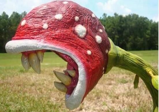 世界十大吃人植物，食人树/食人花真实身份大揭秘