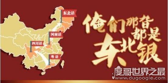 中国素质最差的三个省,东北/河南/北京都被带节奏