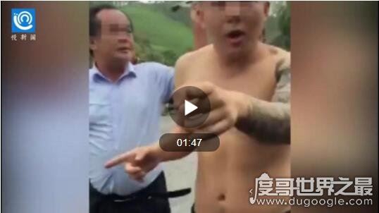 中国素质最差的三个省,东北/河南/北京都被带节奏