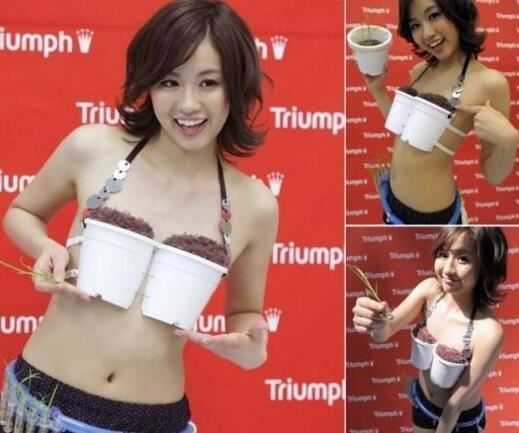 盘点日本奇葩胸罩,筷子文胸自带米饭和筷子
