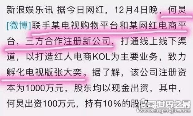 网红张大奕个人资料简介,从网红变女企业家(一年赚9个亿)