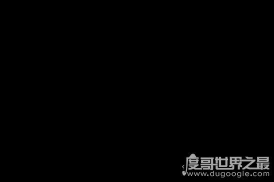 世界上最好斗的鲨鱼,牛鲨(对人类的威胁最大)
