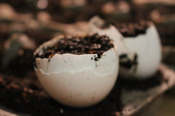 活活的慢慢饿死是什么感觉，饿过之后就感觉不到饿(在睡梦中死去)