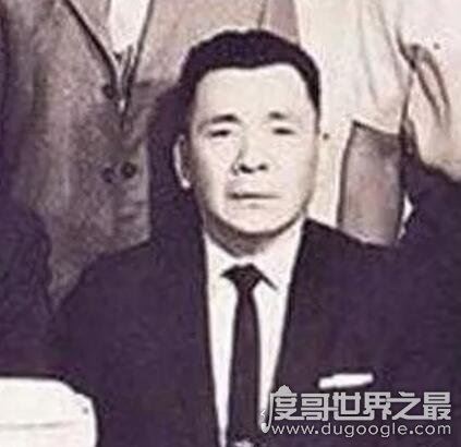 向华强是黑社会吗,向华强父亲新义安黑社会背景