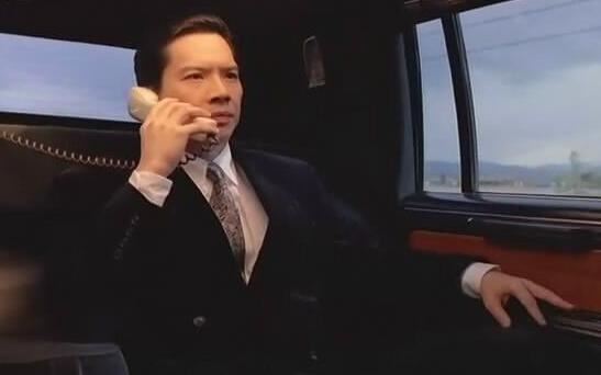 向华强是黑社会吗，向华强父亲新义安黑社会背景