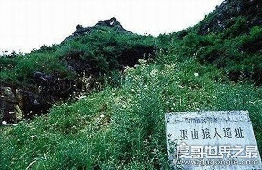 我国境内最早的人类是巫山人,距今200万年(比元谋人早30万年)
