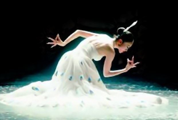 孔雀公主杨丽萍不孕不育，杨丽萍老公刘淳晴不离不弃