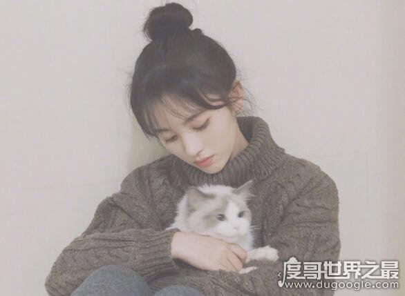鞠婧祎怎么念,人美又有才的她总是容易被人念错名字