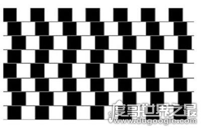 黑林错觉，你是否相信你所见到的