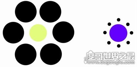 黑林错觉，你是否相信你所见到的