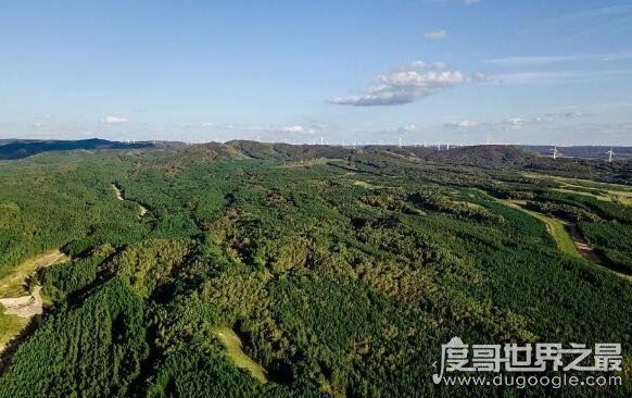 地球比20年前更绿了，中国和印度为地球变绿做出巨大贡献