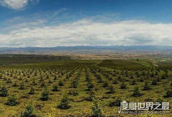 地球比20年前更绿了，中国和印度为地球变绿做出巨大贡献