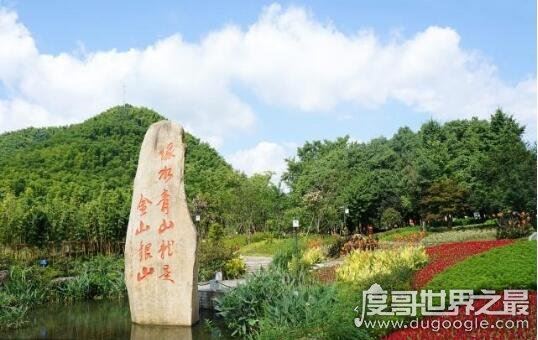 地球比20年前更绿了,中国和印度为地球变绿做出巨大贡献
