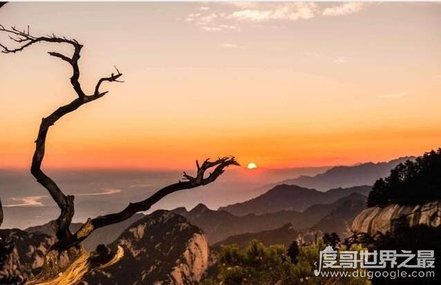 西岳指的是什么山，陕西省华阴县华山(有奇险天下第一山之称)