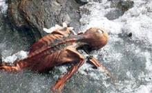 世界十大古墓，里面都有什么稀世珍宝（中国占两个）