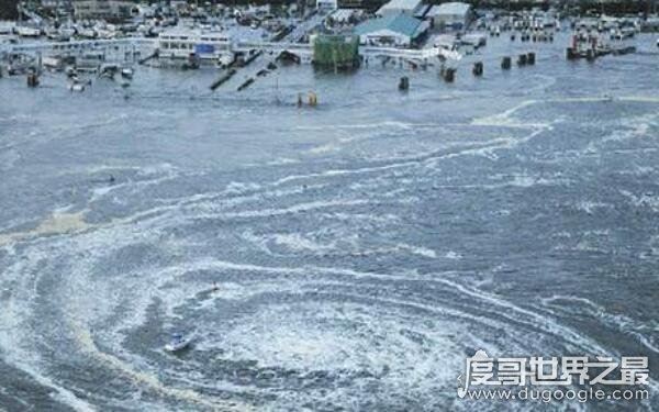 世界上无法解释的生物，无毛水怪现身深圳水库（还需人类探索）