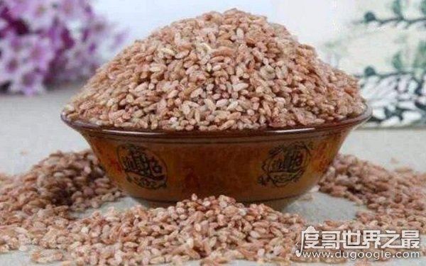 色泽红润软糯香甜，8000元一斤的大米（玉田胭脂米）