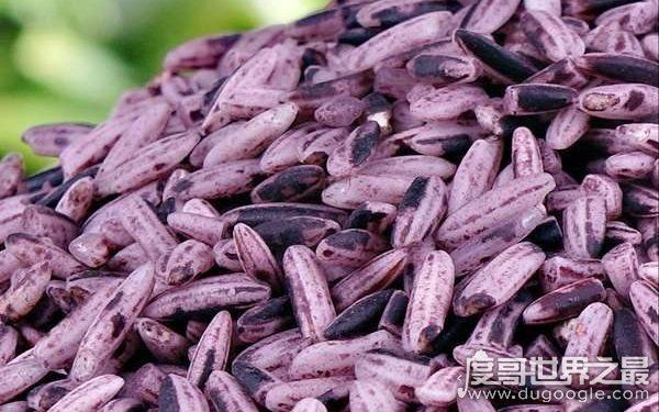 色泽红润软糯香甜，8000元一斤的大米（玉田胭脂米）