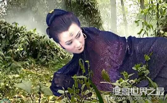 西游记中的蟒蛇精真的存在,工地挖出百岁蟒蛇成精