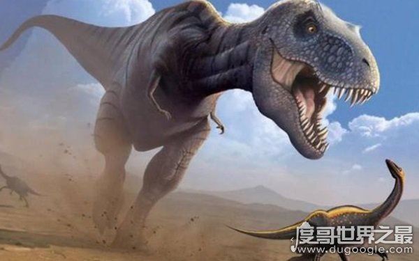 最凶猛的五大恐龙，五大暴龙排名揭晓（霸王龙仅排第四）