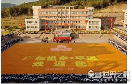 世界上最大的水果拼图,由37万多个水果组成(面积达2200平方米)