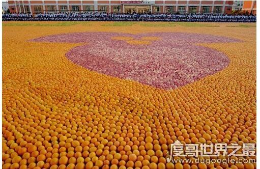 世界上最大的水果拼图，由37万多个水果组成(面积达2200平方米)