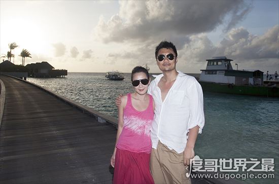 刘若英结婚了吗,自爆已结婚(老公不是陈升)