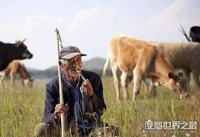 鳏夫是什么意思？无妻或丧妻的人(与光棍意思不同)