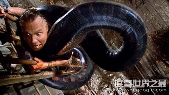 关于蛇的电影大全，香港电影青蛇评分8.4最经典