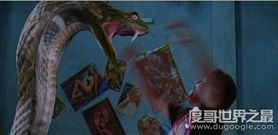 关于蛇的电影大全，香港电影青蛇评分8.4最经典