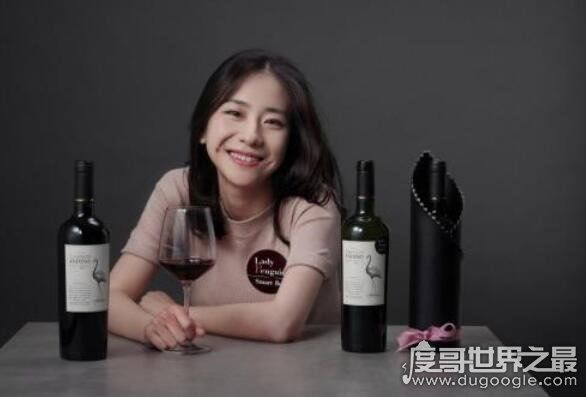 反讽纽约留学女的王意扬,成功走向了醉鹅娘(天生玩转自媒体)