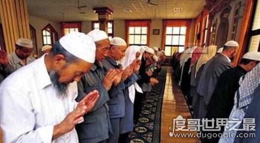 回族为什么不吃猪肉，因为信仰原因(他们认为猪是不洁之物)