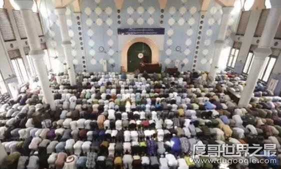 回族为什么不吃猪肉，因为信仰原因(他们认为猪是不洁之物)