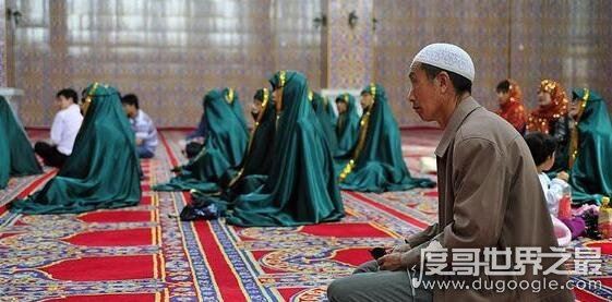 回族为什么不吃猪肉，因为信仰原因(他们认为猪是不洁之物)