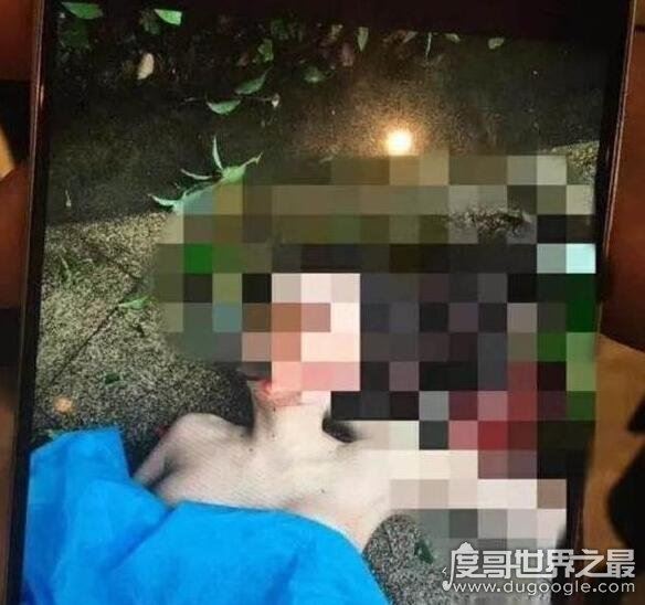 赵本山徒弟任娇裸死照片曝光,死亡疑似与华谊新生杨旭文有关